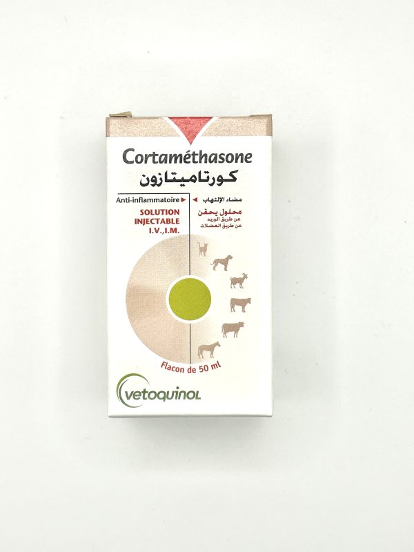 CORTAMETHASONE - Image 3
