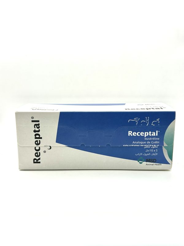 RECEPTAL - Image 2