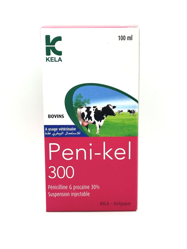 PENI-KEL 300 - Image 2