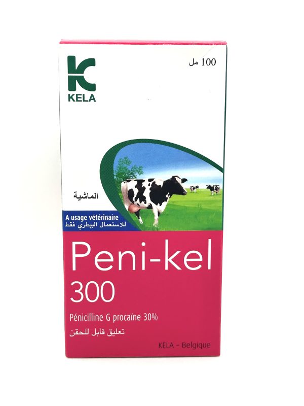 PENI-KEL 300 - Image 4