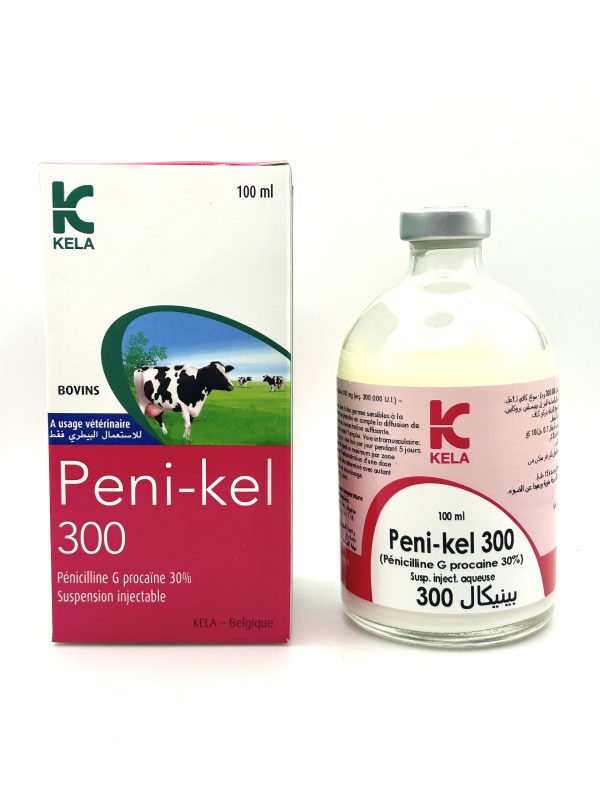 PENI-KEL 300