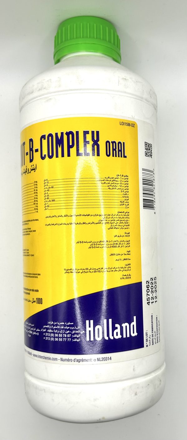 Introvit-B-Complex Oral - Image 3