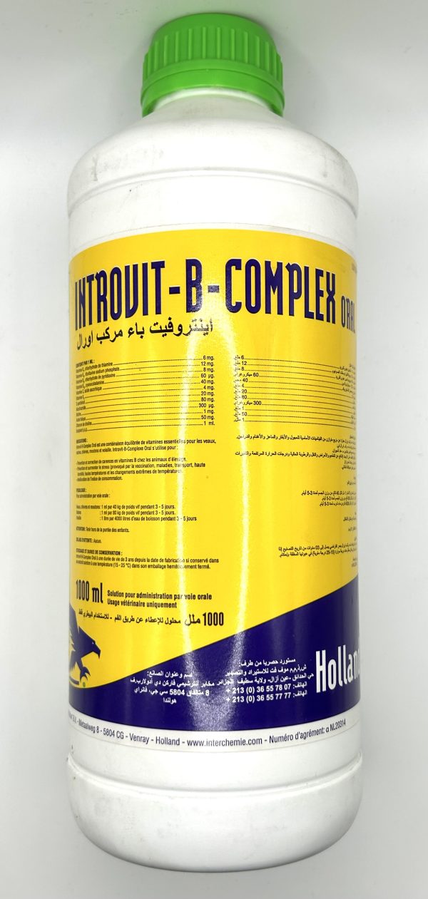 Introvit-B-Complex Oral - Image 4
