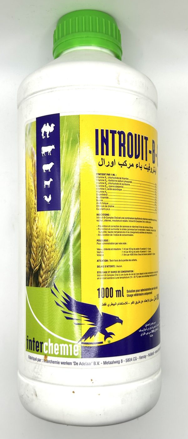 Introvit-B-Complex Oral