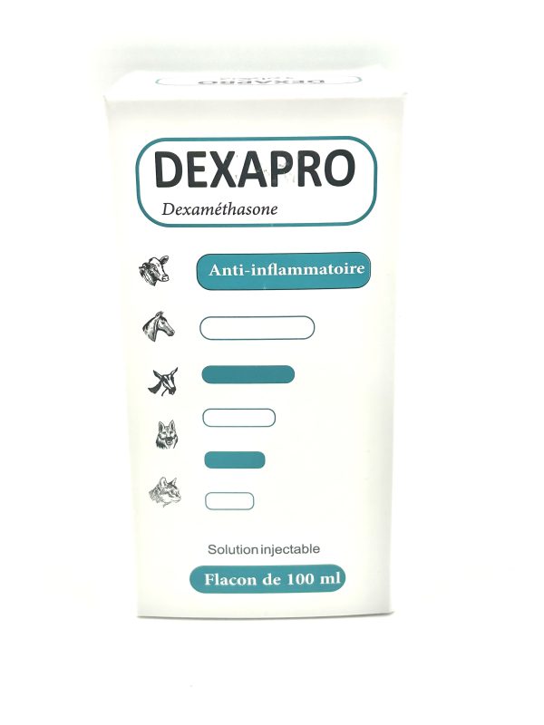 DEXAPRO - Image 2