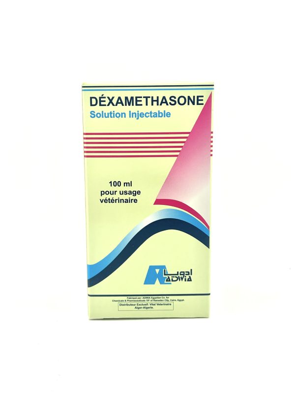 DEXAMETHASONE INJ - Image 2