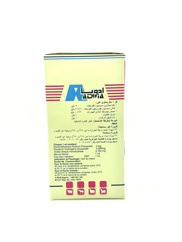 DEXAMETHASONE INJ - Image 5