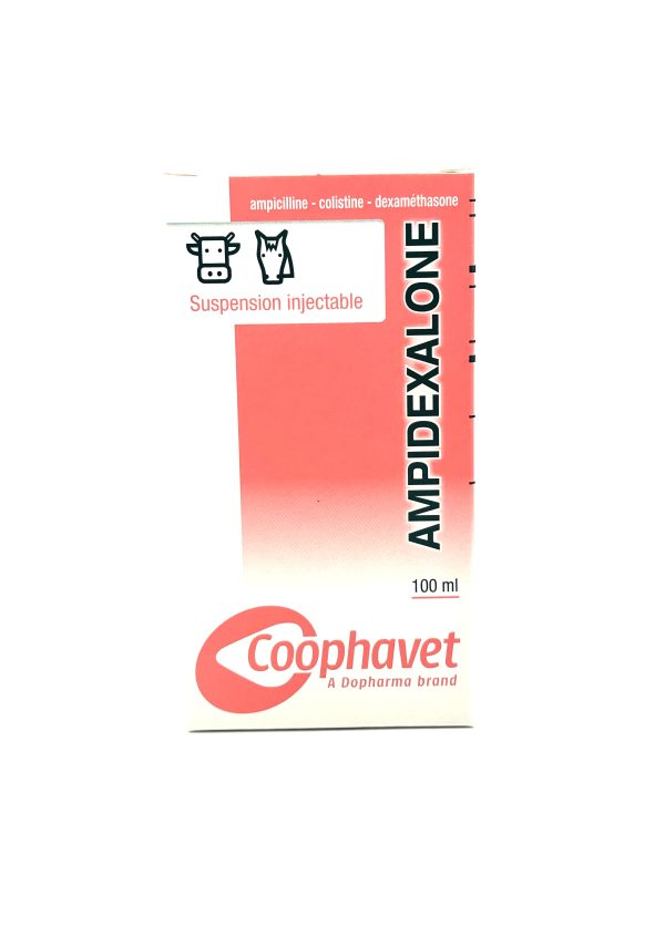 AMPIDEXALONE - Image 2