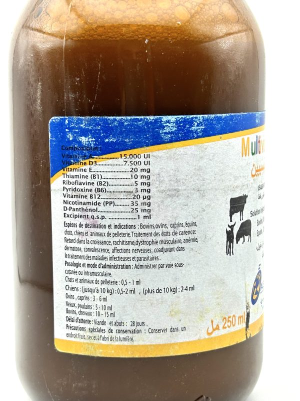 MULTIVISPEIN - Image 2