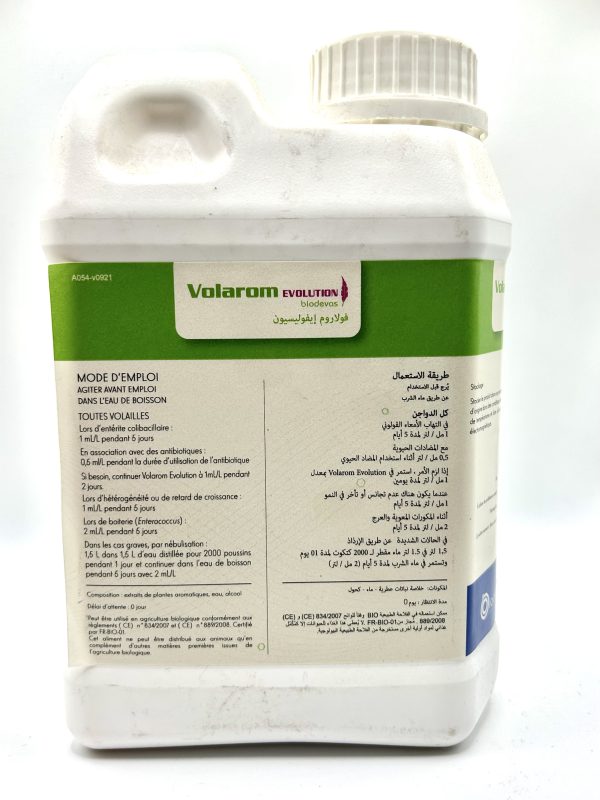 Volarom evolution - Image 2