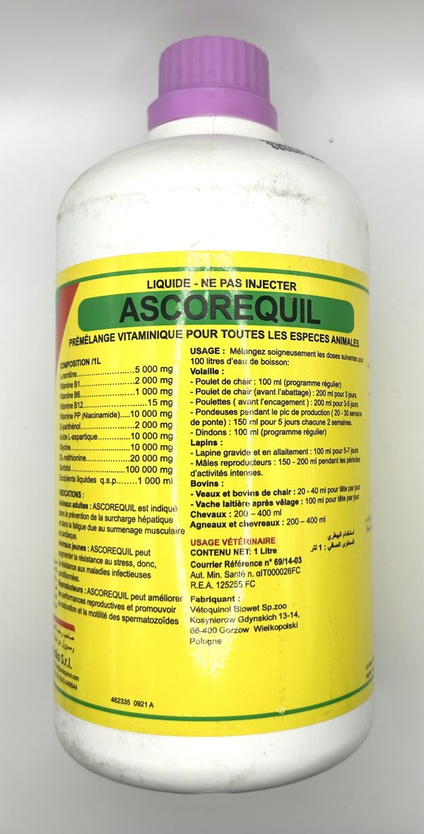 ASCOREQUIL - Image 2