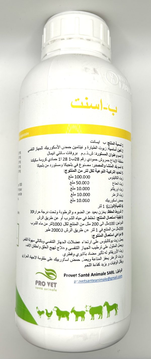 B-ESSENT - Image 3