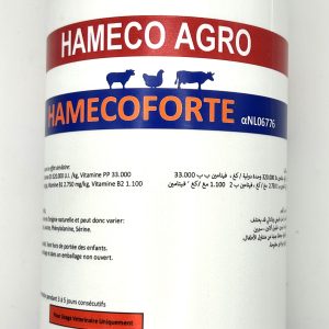 HAMECOFORTE