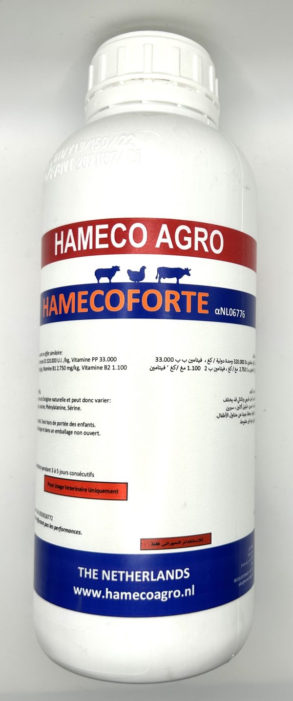 HAMECOFORTE
