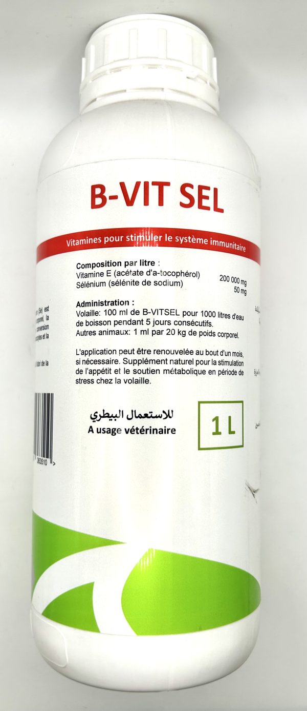 B-VIT SEL