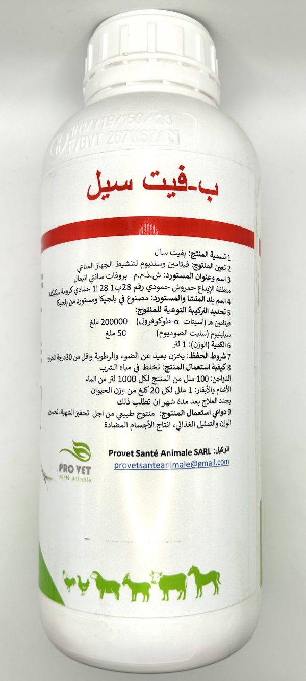 B-VIT SEL - Image 2