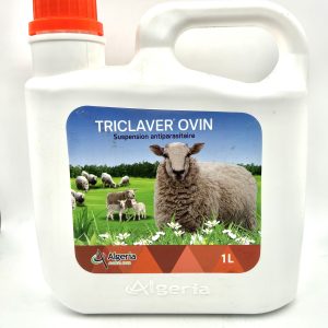 TRICLAVER OVIN