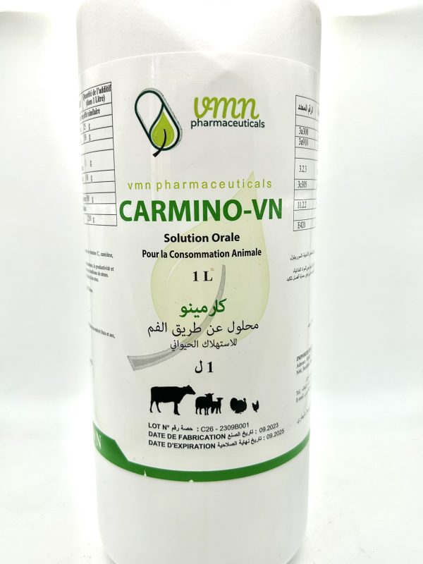 CARMINO-VN