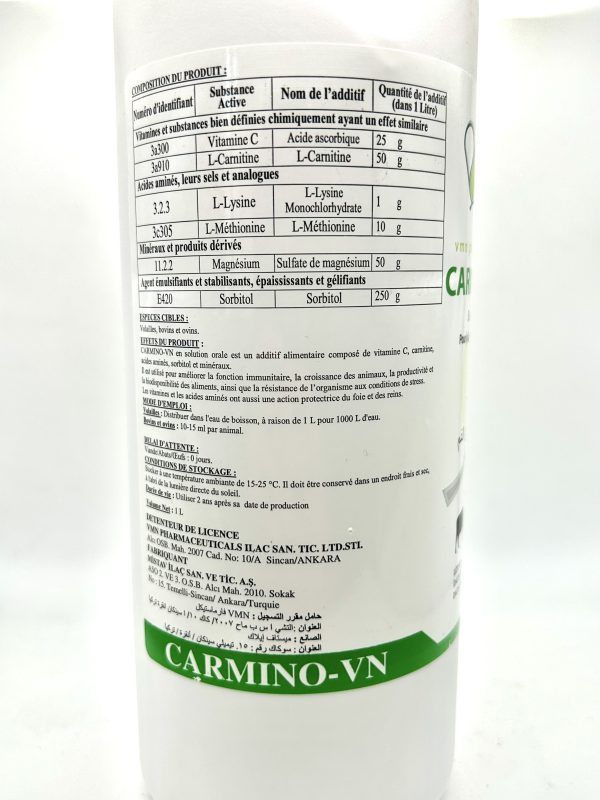 CARMINO-VN - Image 2