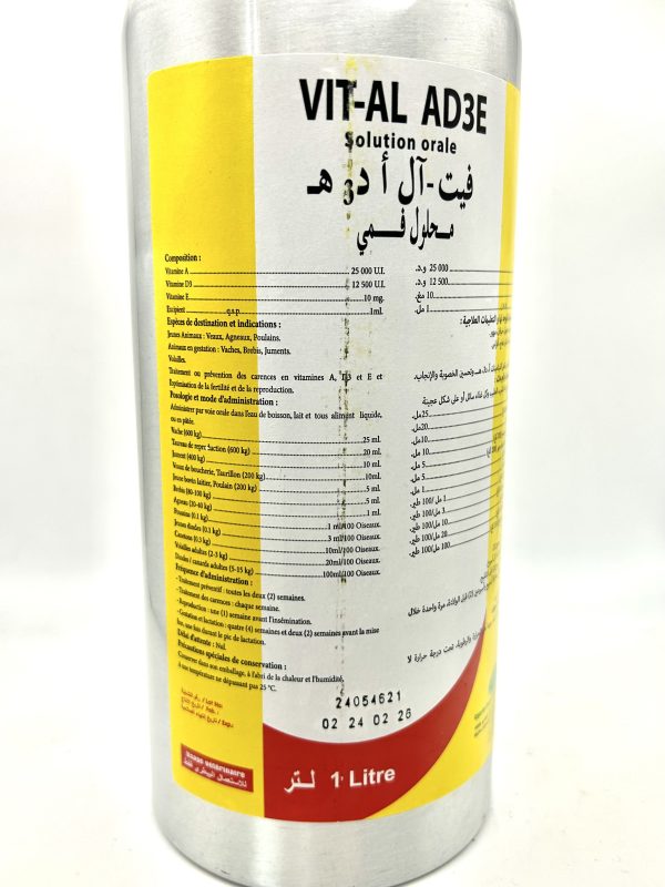 VIT-AL AD3E