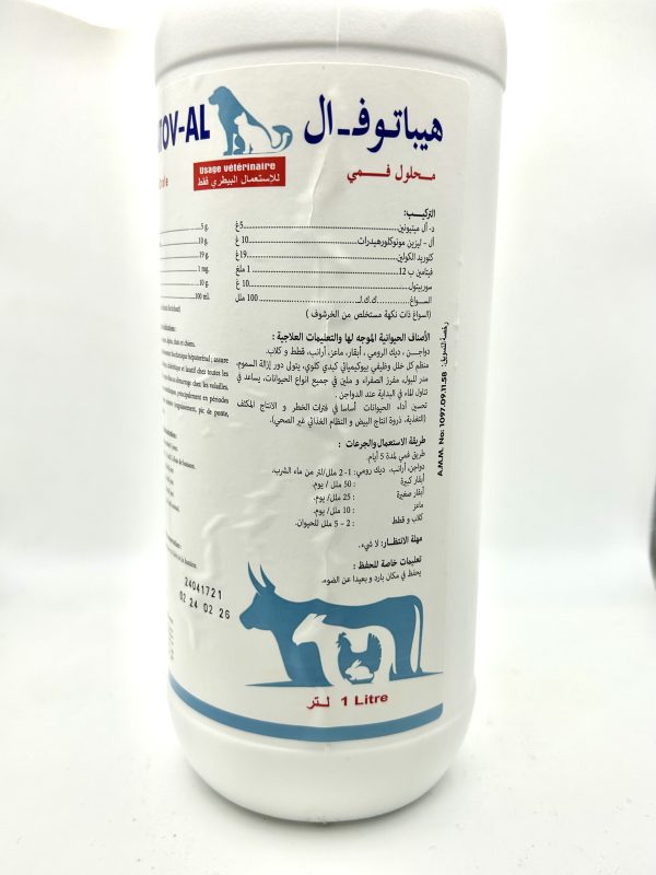 HEPATOV-AL - Image 2