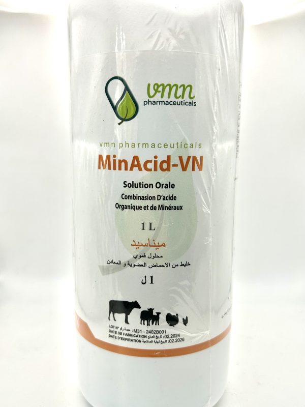 MinAcid-VN