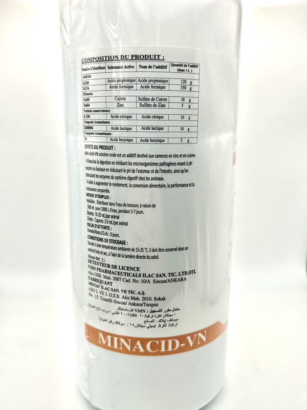 MinAcid-VN - Image 3
