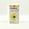 COREBRAL