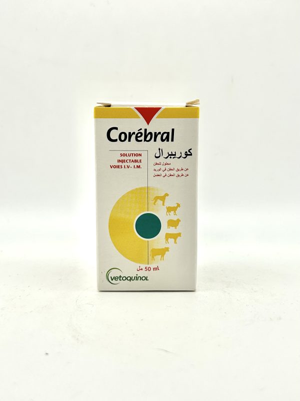 COREBRAL
