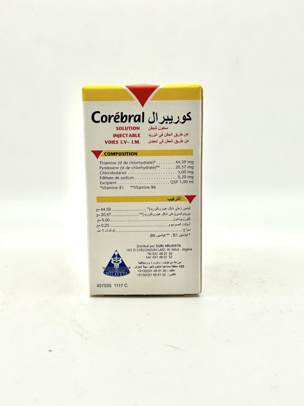COREBRAL - Image 2
