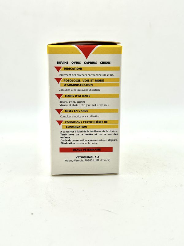 COREBRAL - Image 3