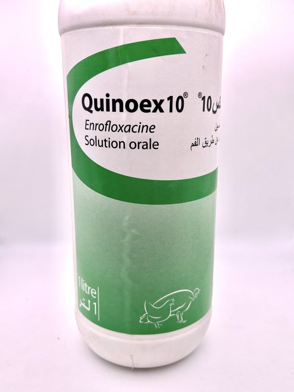 QUINOEX 10