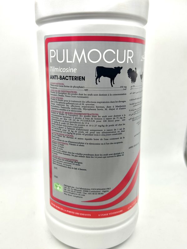 PULMOCUR solution