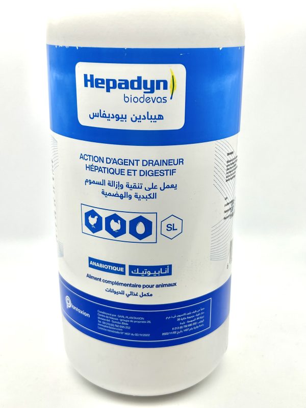 HEPADYN