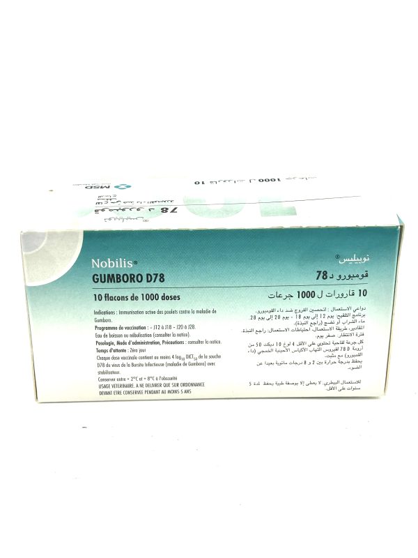 NOBILIS GUMBORO D78 - Image 2