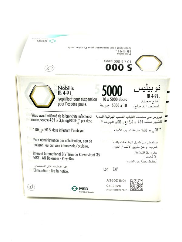 NOBILIS IB 4-91 - Image 3