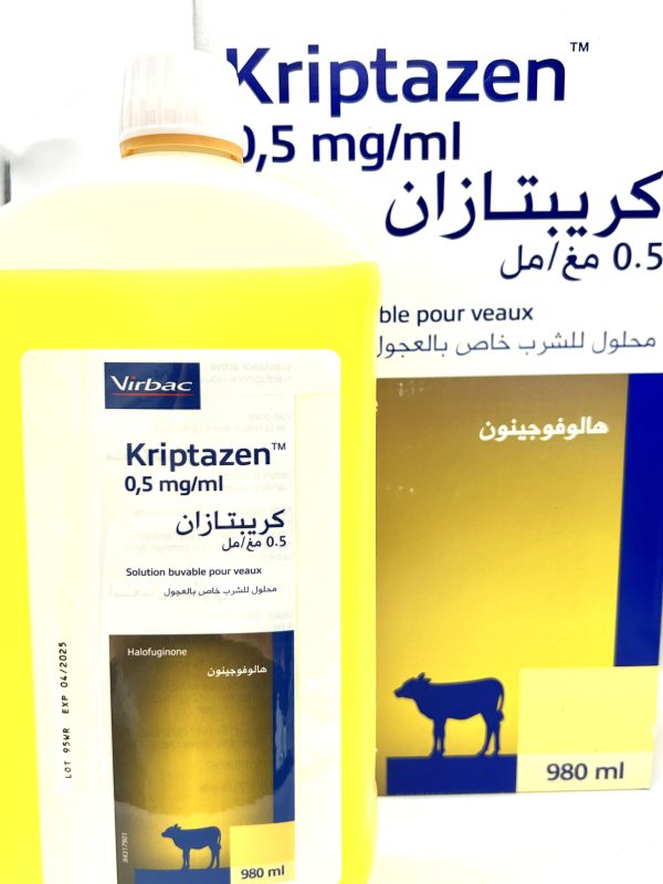 KRIPTAZEN